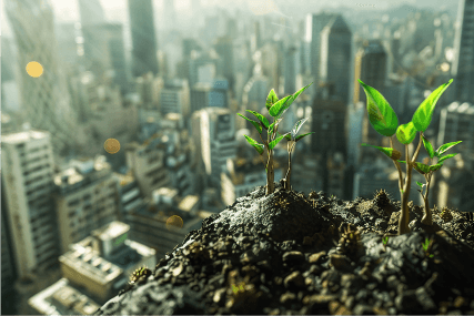 Economic Sustainability